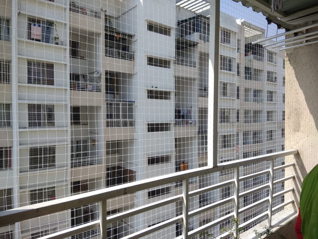 Bird netting installation