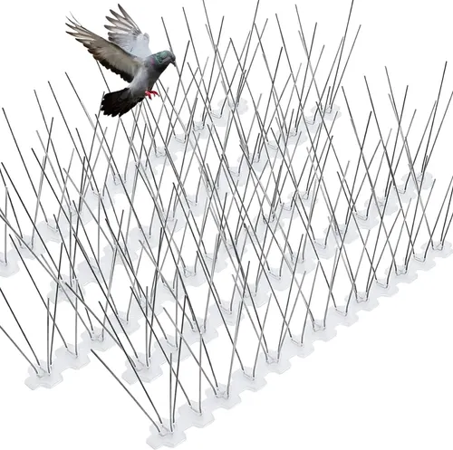 Bird spikes installation